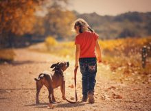 Воздействие собак в раннем возрасте может снизить риск развития шизофрении