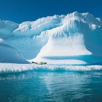 Пробелы в научных дисциплинах по экологии в Арктике