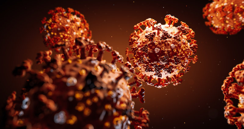 Эпидемия коронавируса COVID-19 имеет естественное происхождение