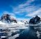 Следы древнего тропического леса в Антарктиде указывают на более теплый доисторический мир