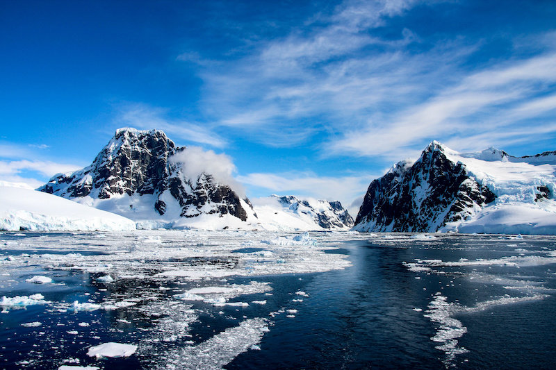 Следы древнего тропического леса в Антарктиде указывают на более теплый доисторический мир