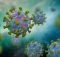 Исследователи идентифицируют клетки, которые могут подвергаться воздействию вируса COVID-19