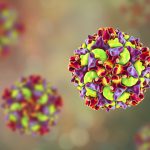 «Дизайнерский вирус» — первая новая оральная полиовакцина за последние 50 лет