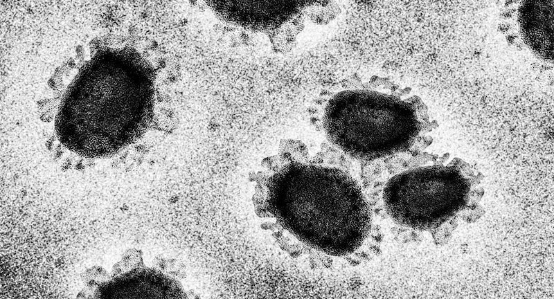 Мутации в SARS-CoV-2 дают представление об эволюции вируса