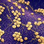 «Отравленная стрела» уничтожает бактерии, устойчивые к антибиотикам
