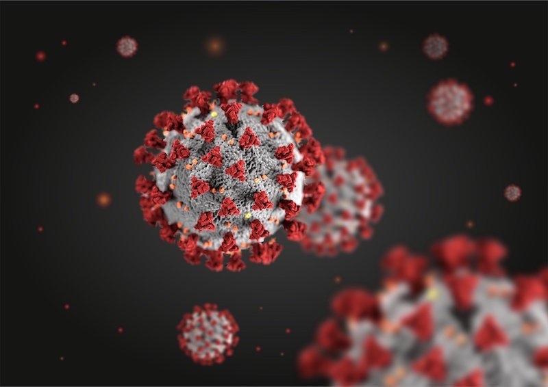 Супер-сильные человеческие антитела защищают от COVID-19 в тестах на животных