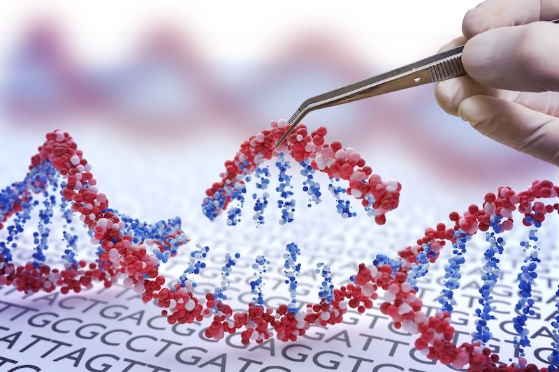 Световой «CRISPR» запускает точное редактирование генов и сверхбыстрое восстановление ДНК