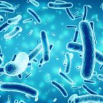 Вождение бактерий для производства потенциальных антибиотиков, противопаразитарных соединений