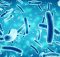 Вождение бактерий для производства потенциальных антибиотиков, противопаразитарных соединений