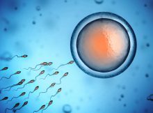 Как человеческая сперма действительно плавает: новое исследование бросает вызов многовековому предположению