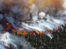 Неожиданные выбросы лесных пожаров влияют на качество воздуха во всем мире