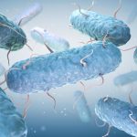 Бактерии E. coli предлагают путь к улучшению фотосинтеза