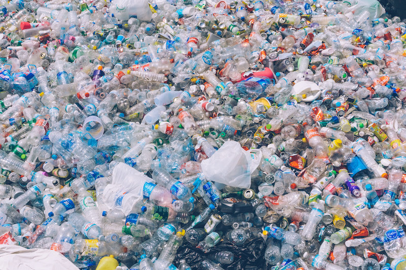 Коктейль из энзимов, поедающих пластик, открывает новую надежду на пластиковые отходы