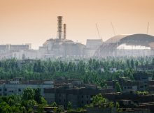Генетические эффекты чернобыльской радиации
