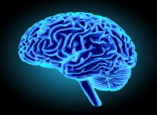 Исследователи улучшают умственную функцию человека с помощью стимуляции мозга