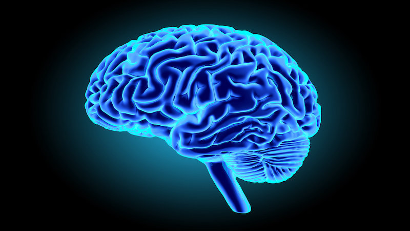 Исследователи улучшают умственную функцию человека с помощью стимуляции мозга