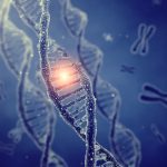 Большинство «молчаливых» генетических мутаций вредны, а не нейтральны